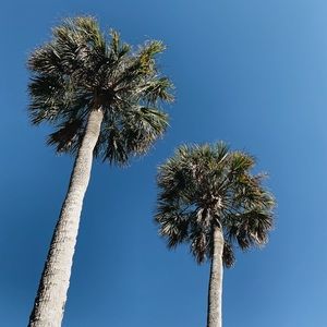 Meet your Posher, Luce